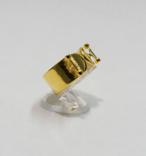Skate Gold Plated 03